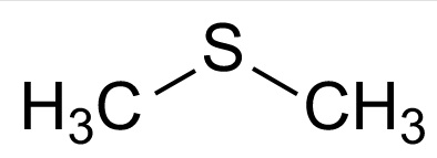 . Dimethyl sulfide (DMS) or methylthiomethane